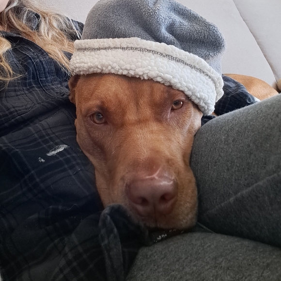 Meet your Posher, Michelle - Picture 2 of 3